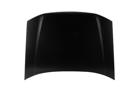 Hood Panel Assembly