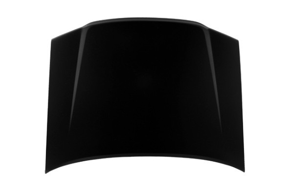 Hood Panel Assembly