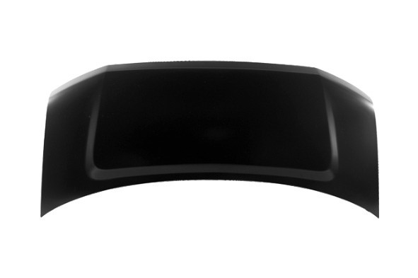 Hood Panel Assembly