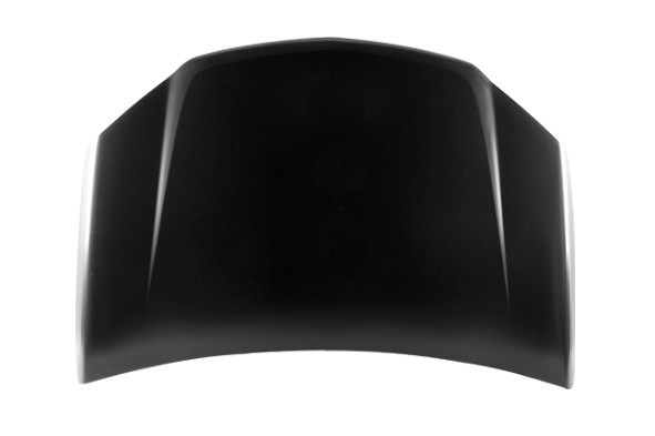 Hood Panel Assembly