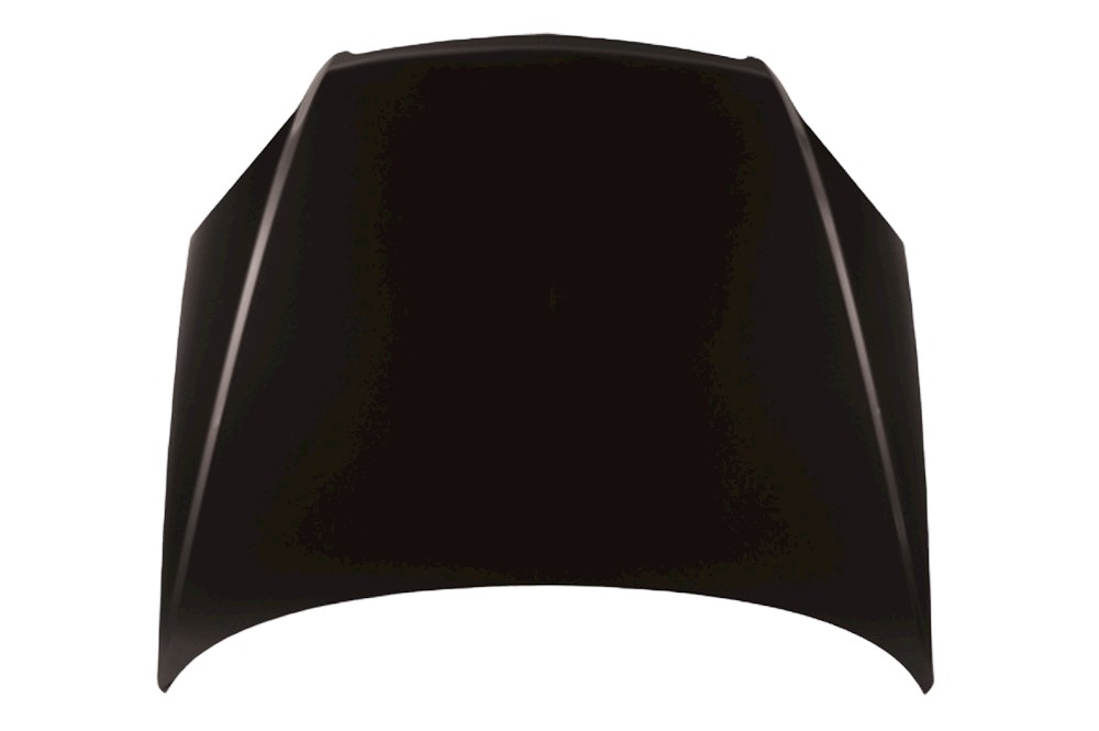 Hood Panel Assembly