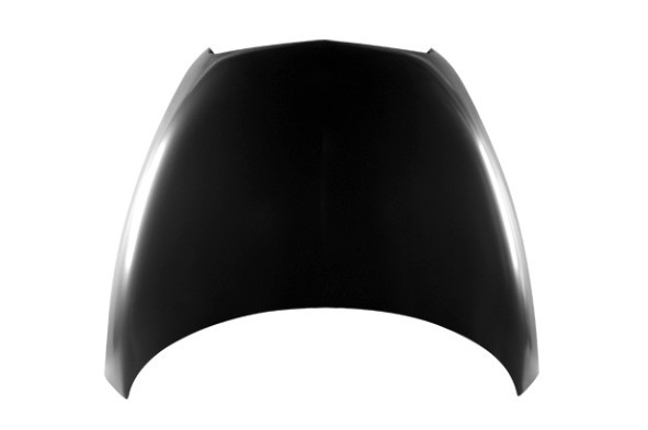 Hood Panel Assembly