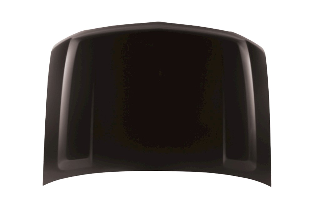 Hood Panel Assembly