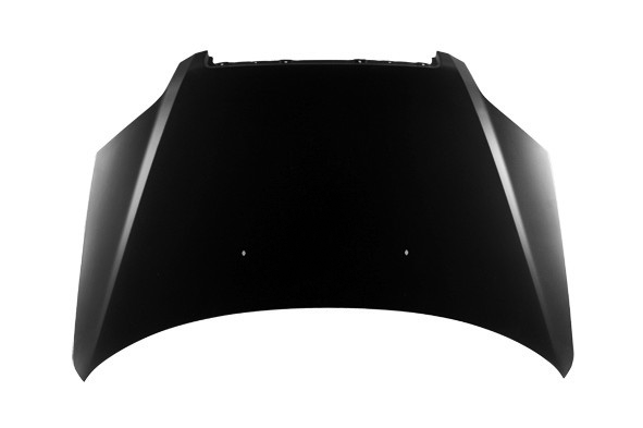Hood Panel Assembly