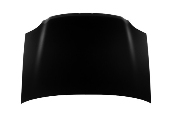 Hood Panel Assembly