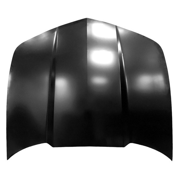 Hood Panel Assembly