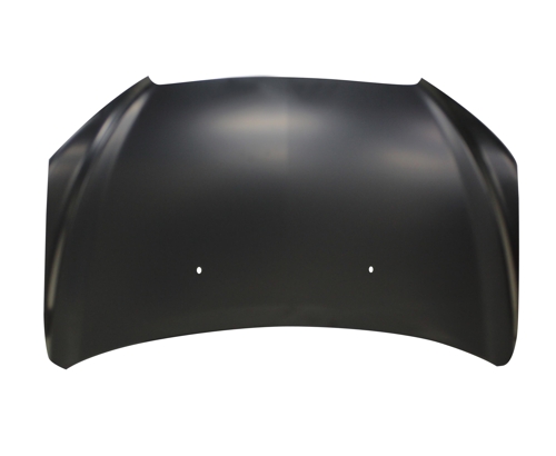 Hood Panel Assembly