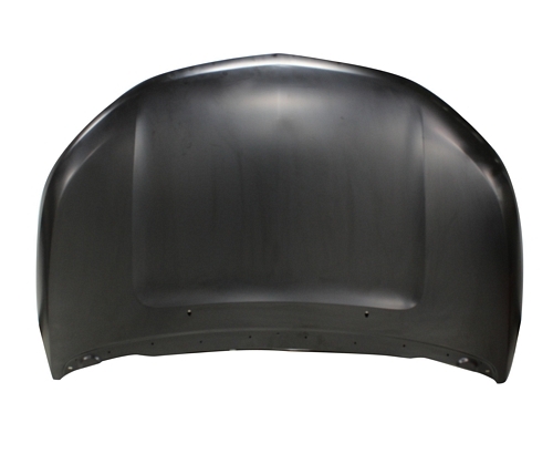 Hood Panel Assembly