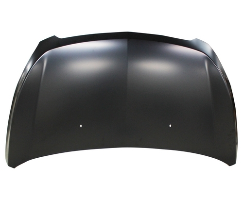 Hood Panel Assembly