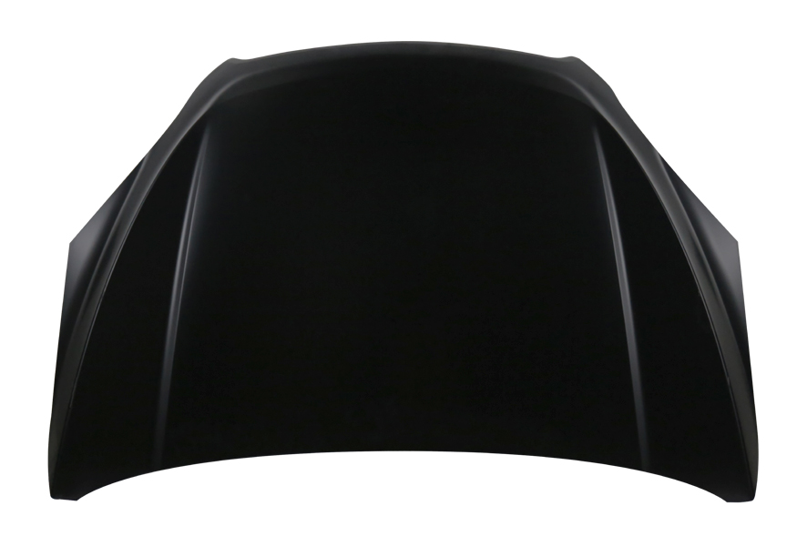 Hood Panel Assembly