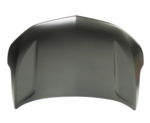 Hood Panel Assembly