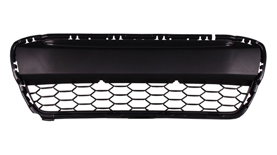 Bumper Cover Grille