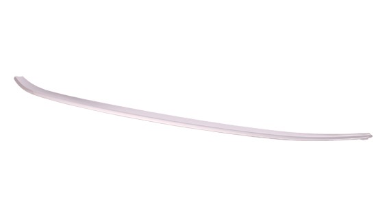 Bumper Cover Molding