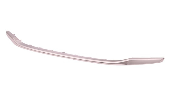 Bumper Cover Molding
