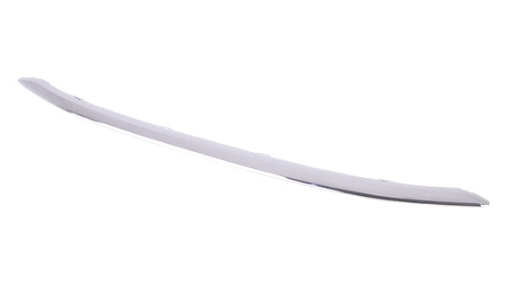 Bumper Cover Molding