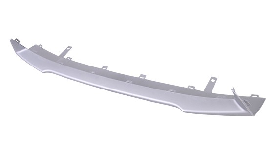 Bumper Cover Molding
