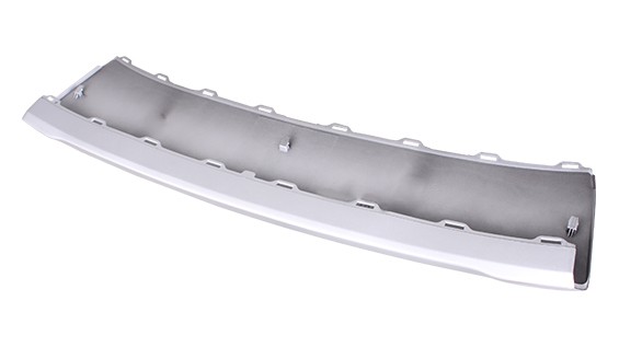 Bumper Cover Molding