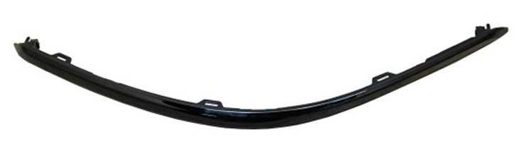 Bumper Cover Molding