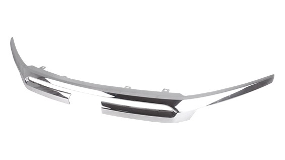 Grille Molding