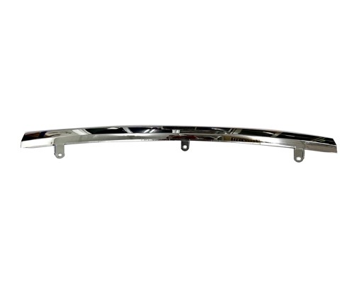 Grille Molding