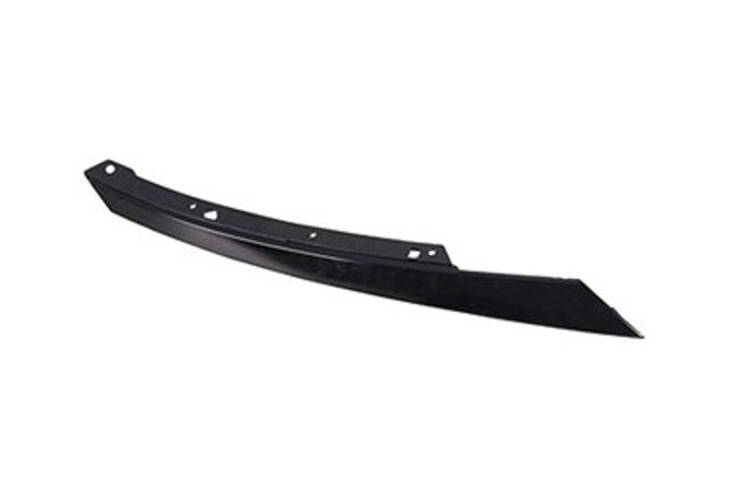 Grille Molding