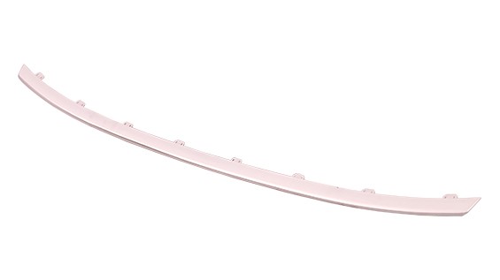 Grille Molding
