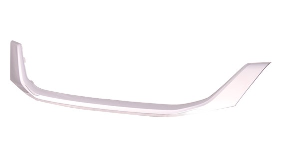 Grille Molding