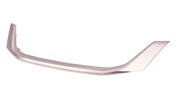 Grille Molding