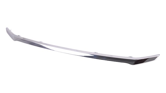Grille Molding