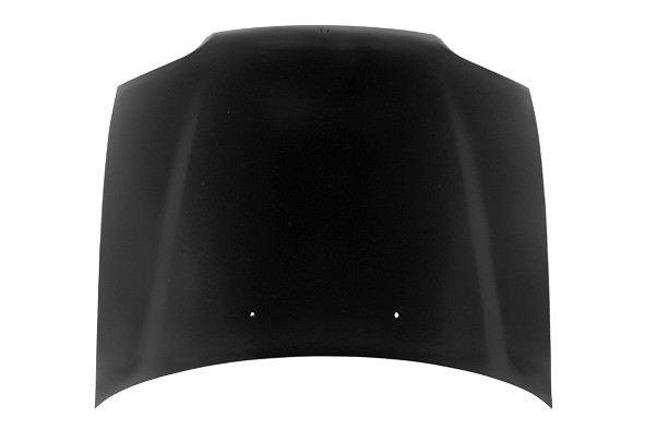 Hood Panel Assembly