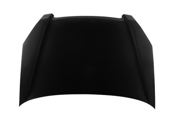 Hood Panel Assembly