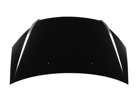Hood Panel Assembly