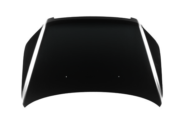 Hood Panel Assembly