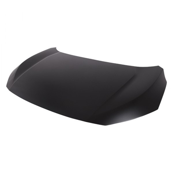 Hood Panel Assembly