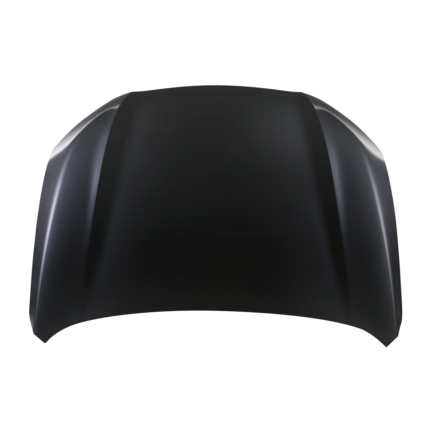 Hood Panel Assembly