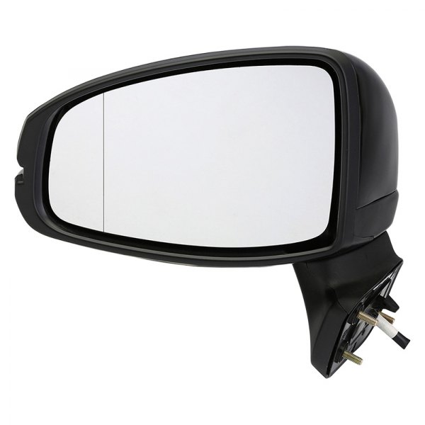 Door Mirror