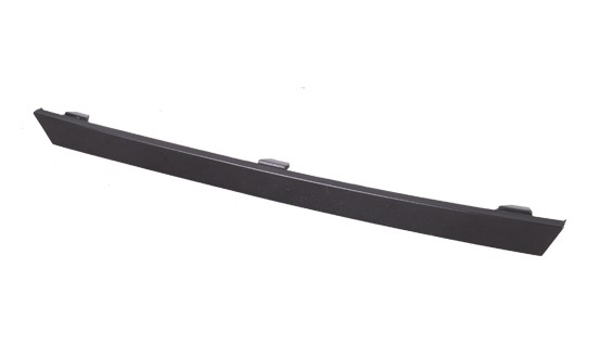 Bumper Cover Molding