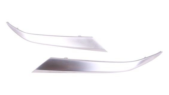 Bumper Cover Molding