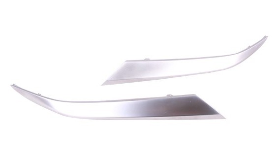 Bumper Cover Molding