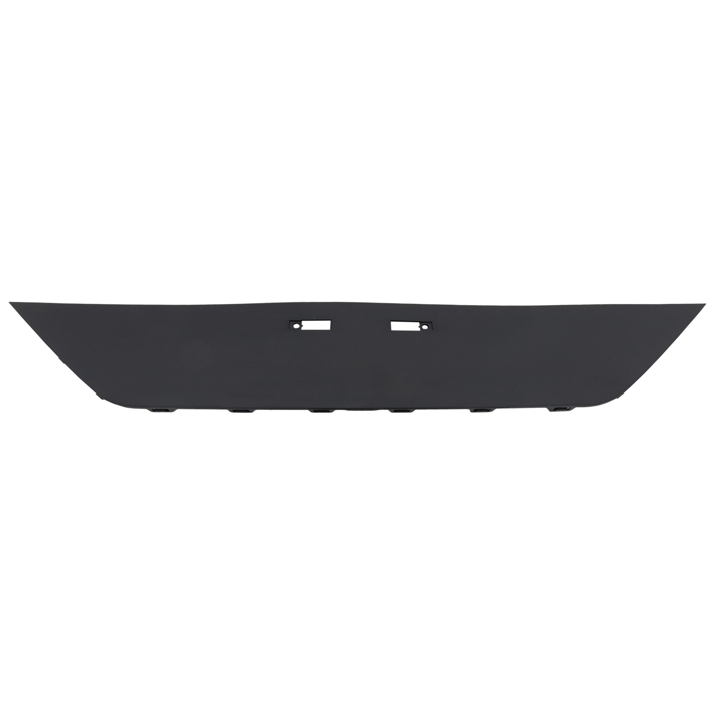 Bumper Cover Molding