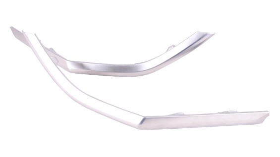 Bumper Cover Molding