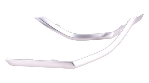 Bumper Cover Molding
