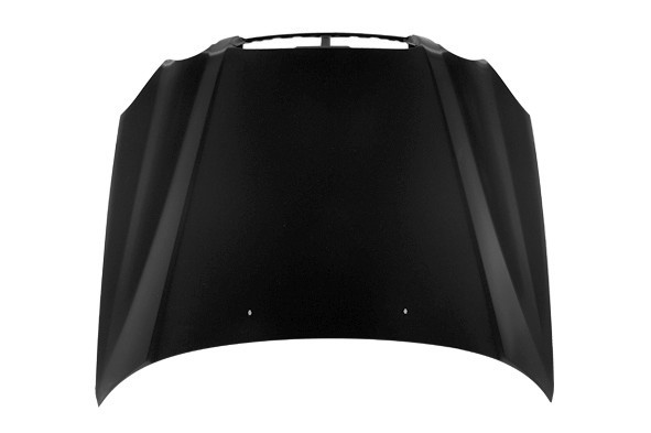 Hood Panel Assembly