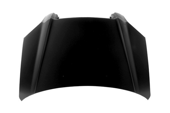 Hood Panel Assembly