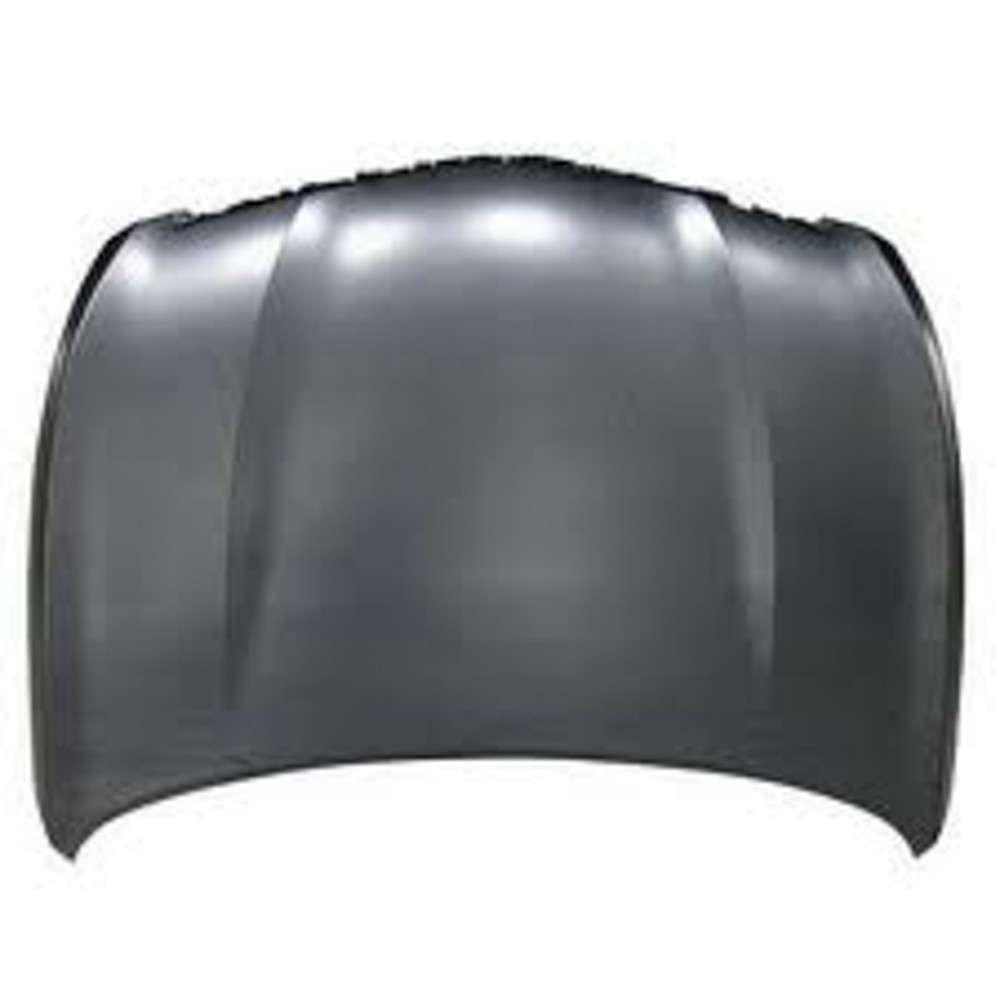 Hood Panel Assembly