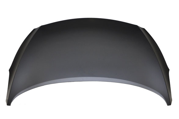 Hood Panel Assembly
