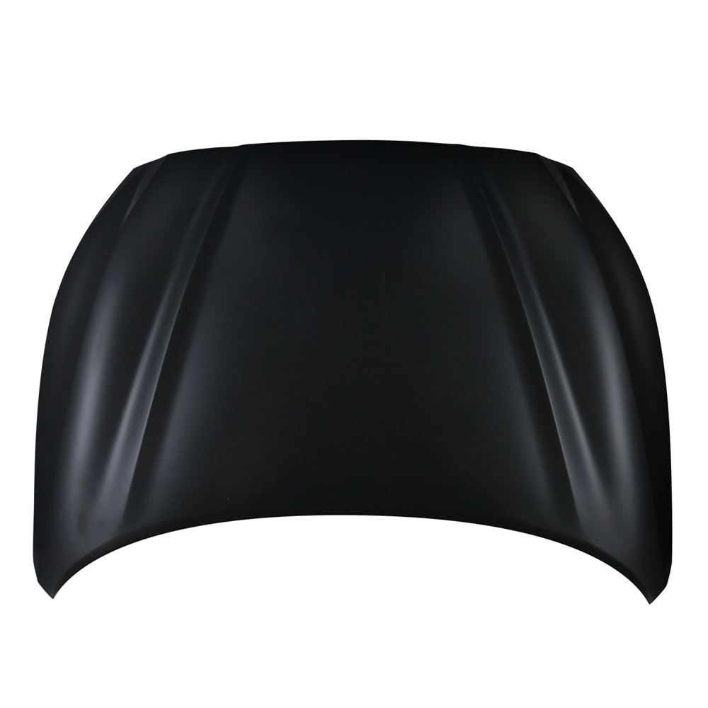 Hood Panel Assembly