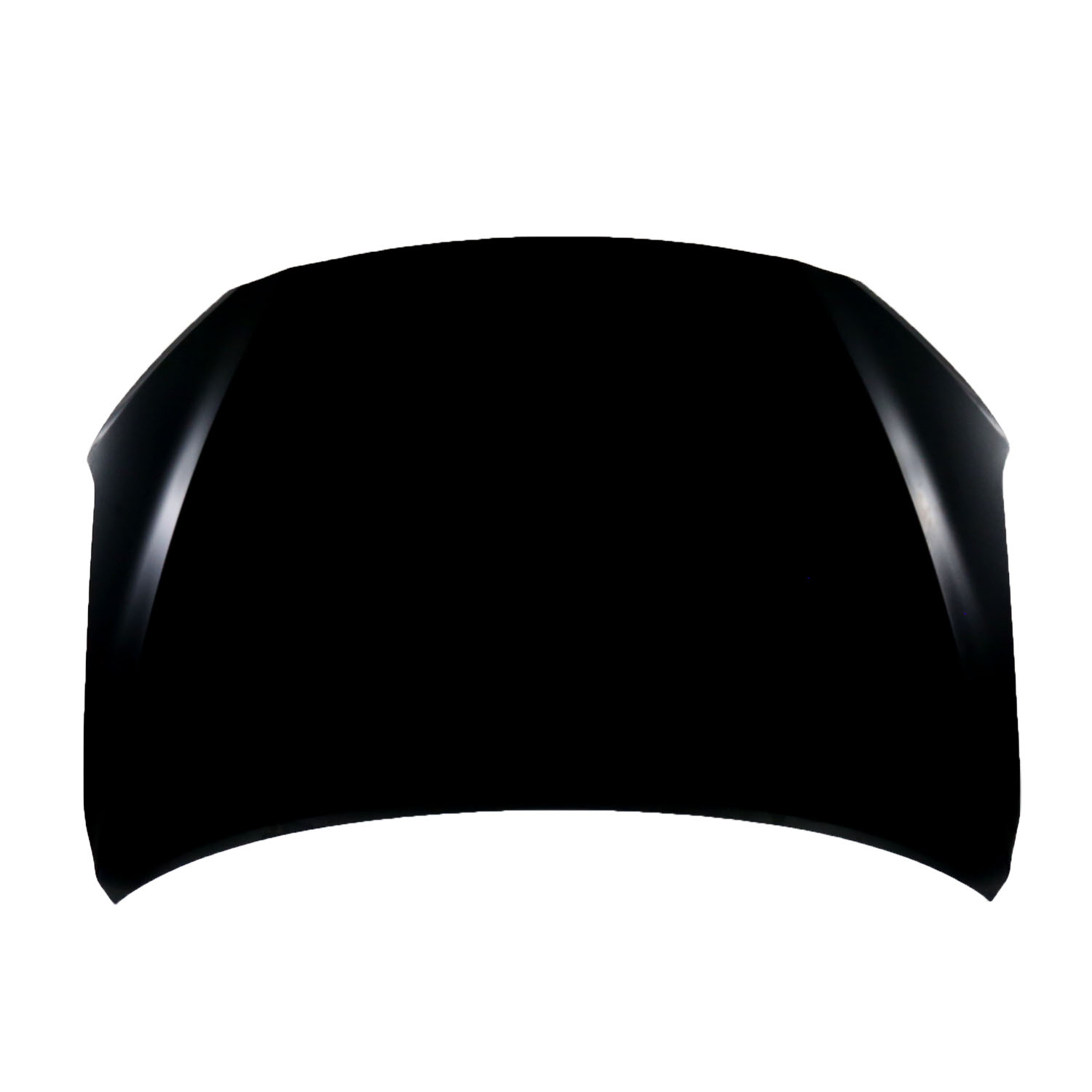 Hood Panel Assembly