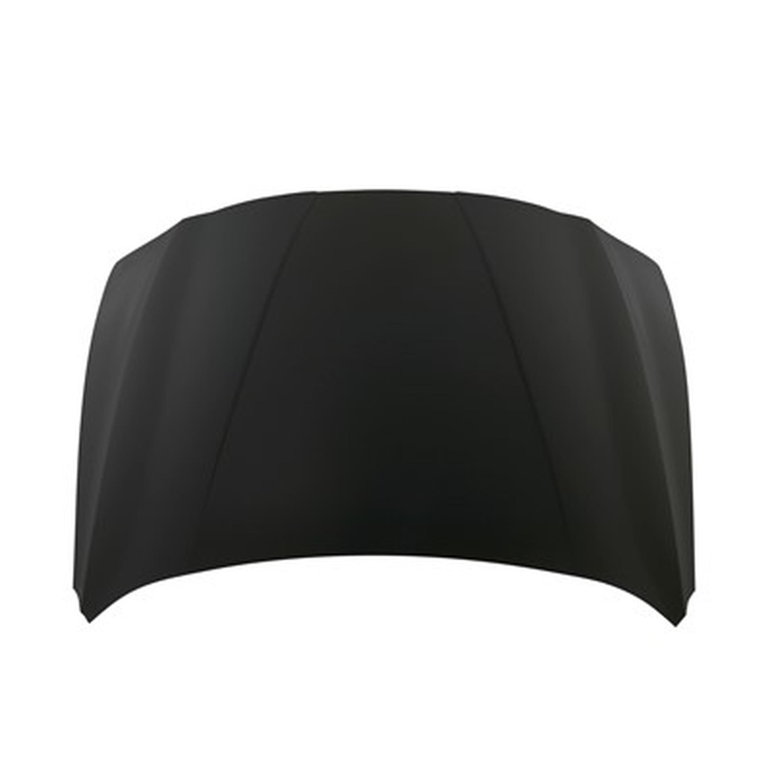 Hood Panel Assembly