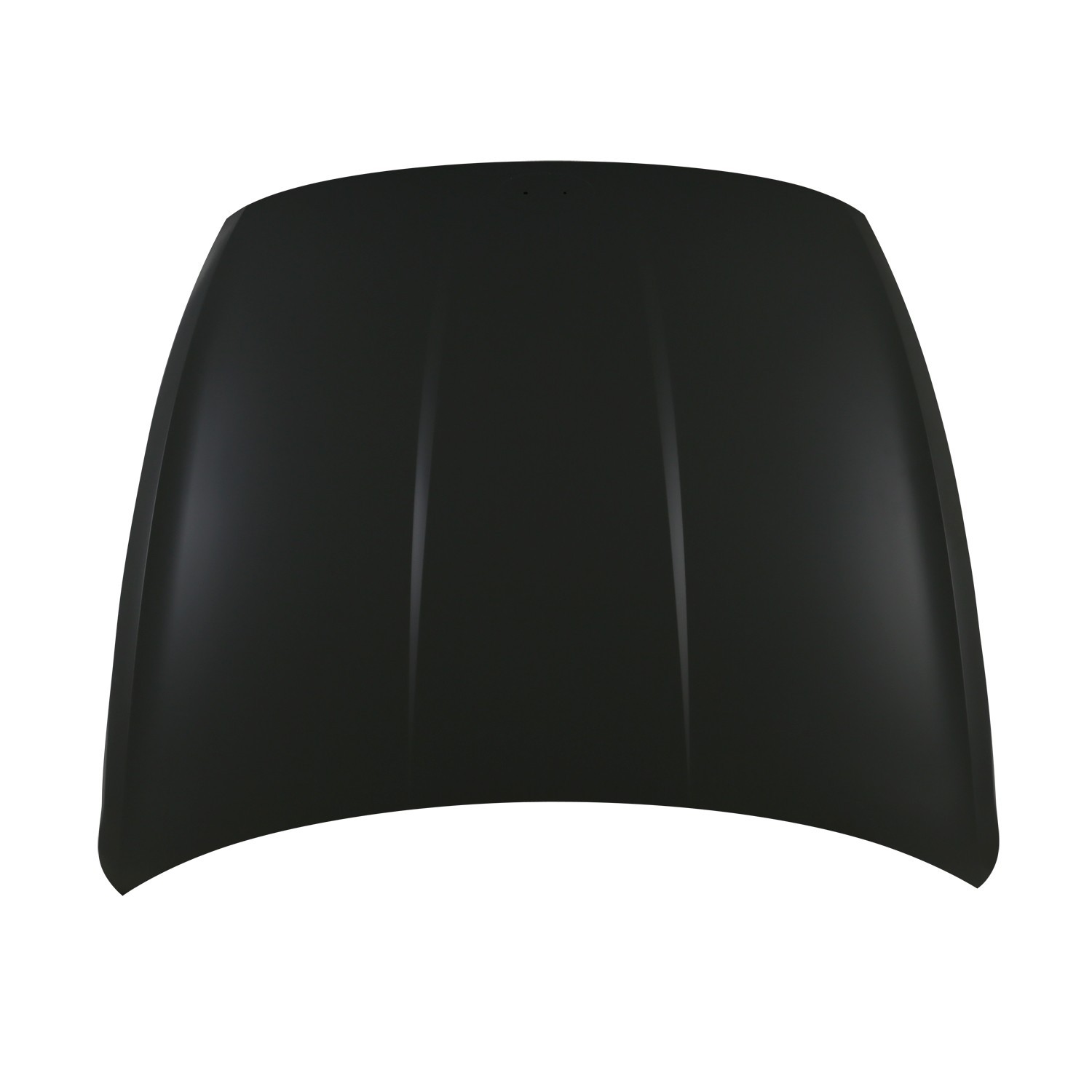 Hood Panel Assembly